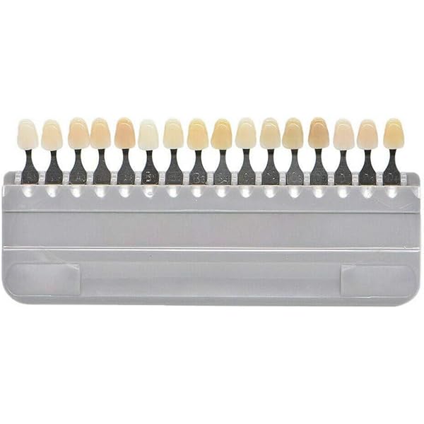 歯科技工　シェードガイド　3DPRO アイダイテ 歯科技工 シェードガイド 3DPRO アイダイテ 歯科技工 シェード